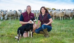 Chestnut Farm (2019-2023)